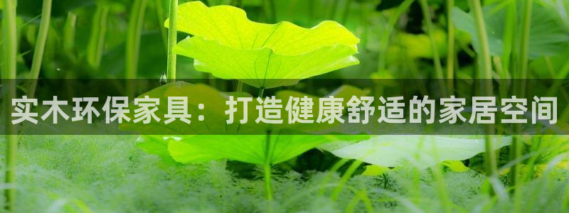 杏耀平台黑款
