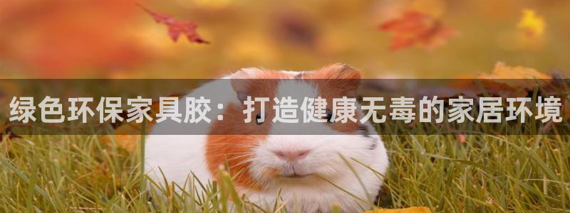 杏耀平台代理怎么赚钱