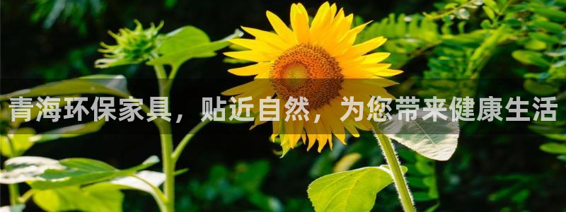 杏耀手机客户端