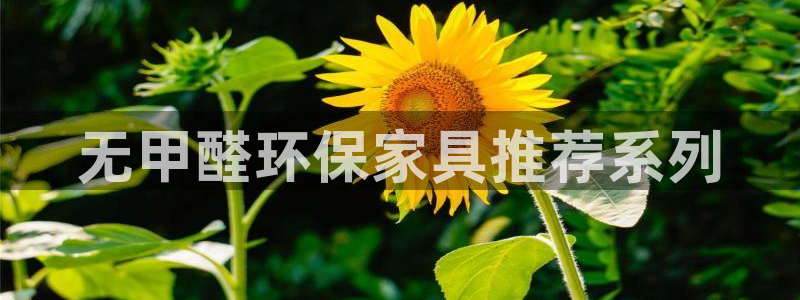 杏耀平台的专用通道