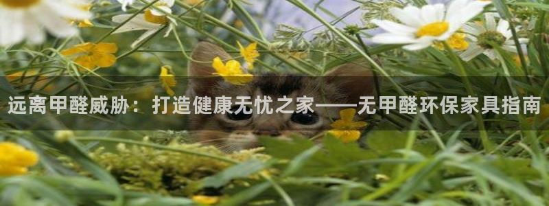 杏耀代理1980