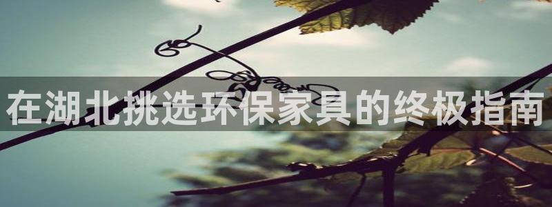 杏耀代理连接