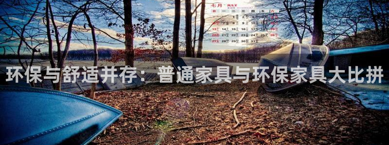 杏耀注册地址：环保与舒适并存：普通家具与环保家具大比拼