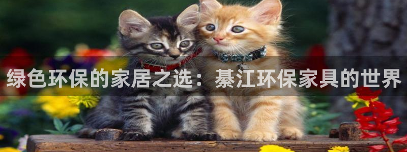 杏耀代理注册中心：绿色环保的家居之选：綦江环保家具的世界