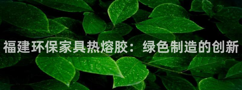 杏耀平台的专用通道：福建环保家具热熔胶：绿色制造的创新