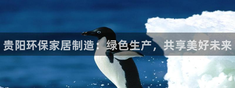 杏耀平台登录入口：贵阳环保家居制造：绿色生产，共享美好未来