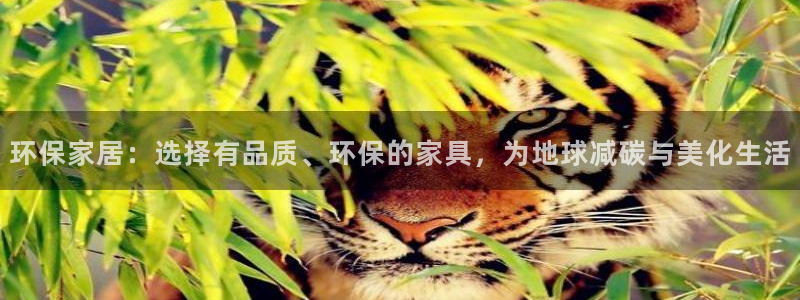 杏耀代理1980