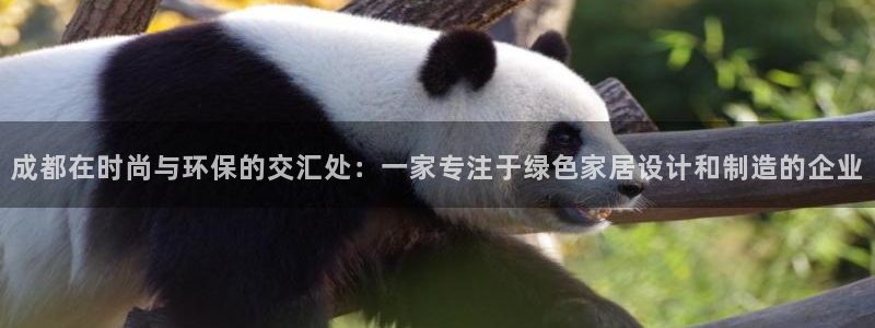 杏耀平台代理怎么赚钱的：成都在时尚与环保的交汇处：一家专注于