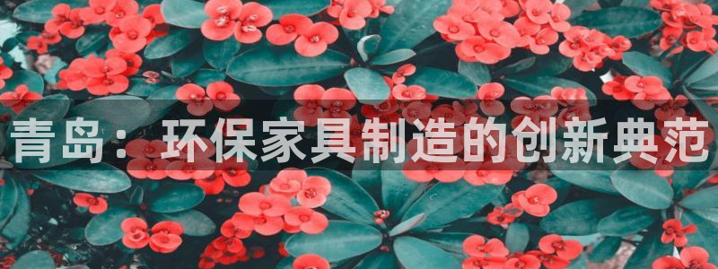 杏耀平台登录方式：青岛：环保家具制造的创新典范