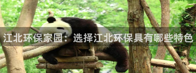 杏耀官方：江北环保家园：选择江北环保具有哪些特色