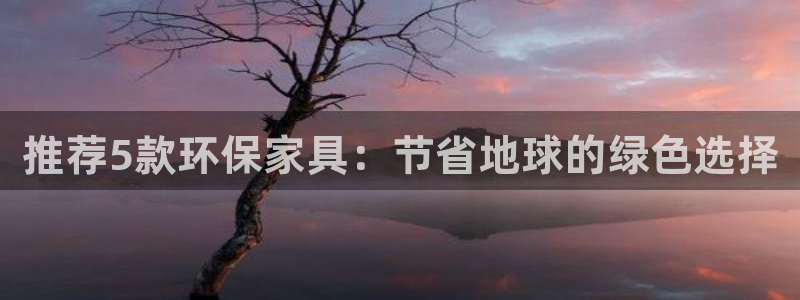 杏耀登陆电脑线路测速：推荐5款环保家具：节省地球的绿色选择