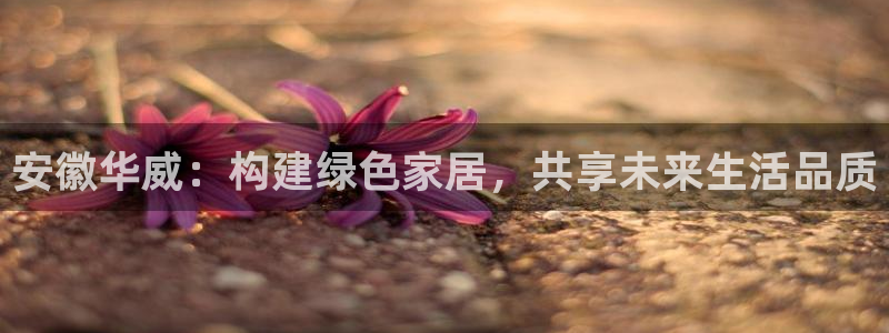 杏耀网址官网：安徽华威：构建绿色家居，共享未来生活品质