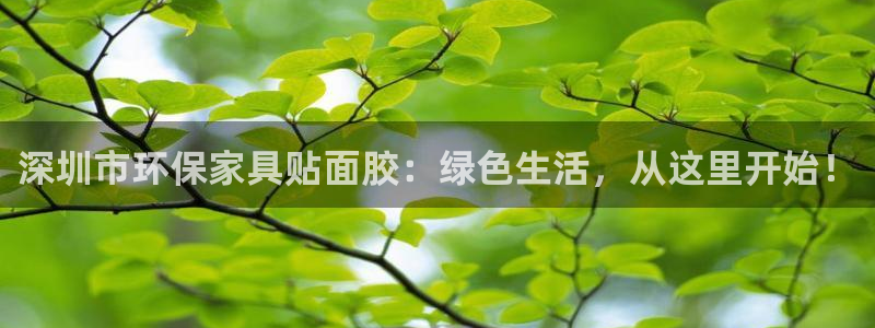 杏耀平台首页：深圳市环保家具贴面胶：绿色生活，从这里开始！