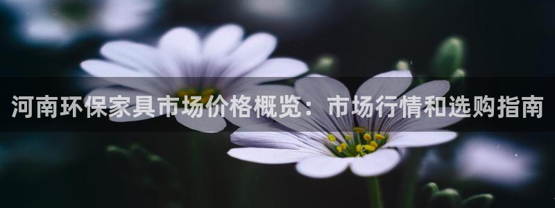杏耀注册开户：河南环保家具市场价格概览：市场行情和选购指南