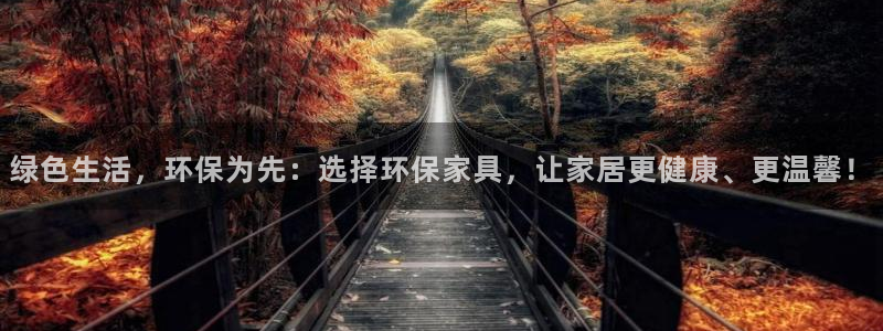 杏耀平台代理怎么赚钱的：绿色生活，环保为先：选择环保家具，让