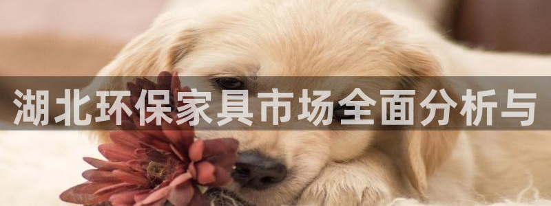 杏耀注册登录中心：湖北环保家具市场全面分析与