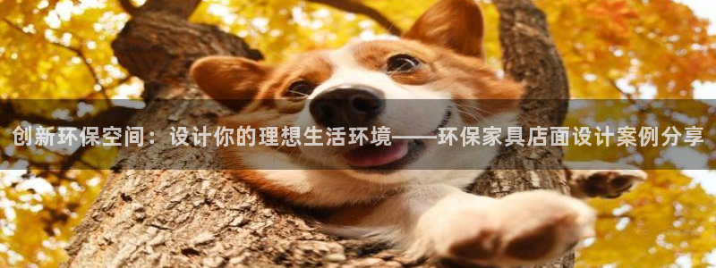 杏耀客户端登录：创新环保空间：设计你的理想生活环境——环保家