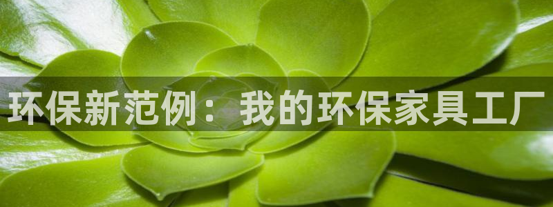 杏耀平台测