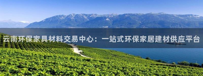 杏耀app怎样申请退款：云南环保家具材料交易中心：一站式环保