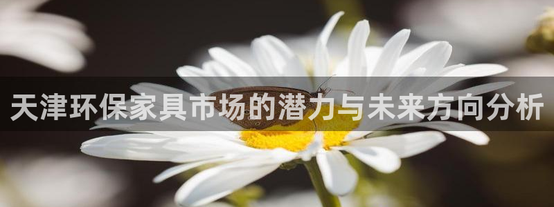 杏耀平台官方登录：天津环保家具市场的潜力与未来方向分析