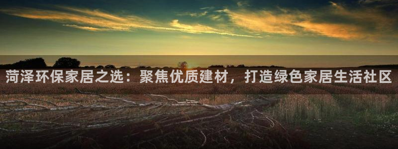 杏耀平台官方网站下载：菏泽环保家居之选：聚焦优质建材，打造绿