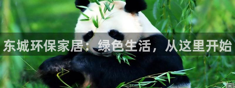 杏耀平台代理登录网址是什么：东城环保家居：绿色生活，从这里开