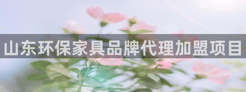 杏耀官方娱乐：山东环保家具品牌代理加盟项目