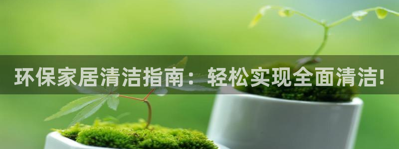 杏耀手机登录线路测速：环保家居清洁指南：轻松实现全面清洁!