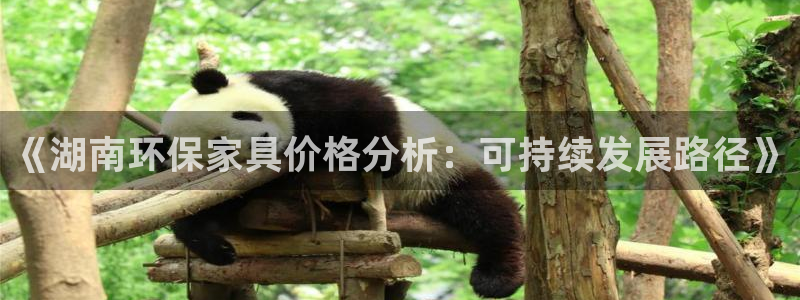 杏耀平台登陆测速