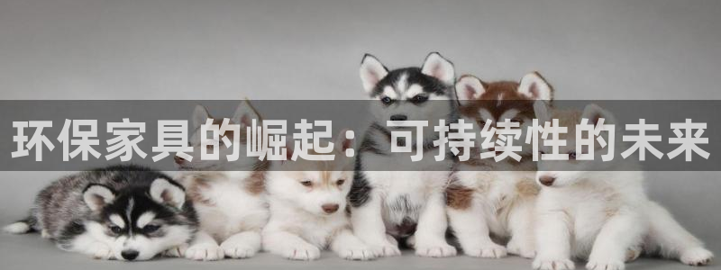 杏耀官网注册地址：环保家具的崛起：可持续性的未来