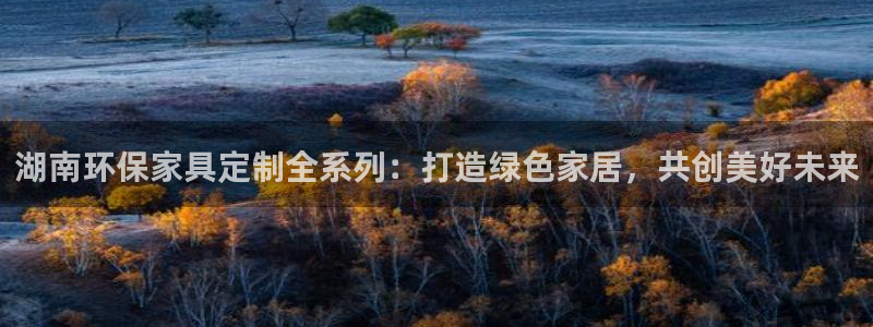 杏耀平台登陆官网：湖南环保家具定制全系列：打造绿色家居，共创