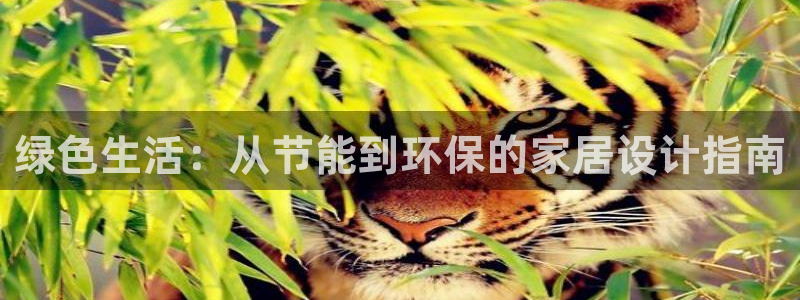 杏耀平台正规么